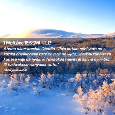 Picture 02 - 1 Wafalme 18:5 SWHULB - Ahabu akamwambia Obadia, “Pita katika nchi yote - Bible Verse Picture