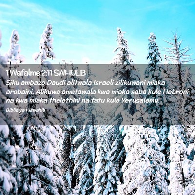 Picture 02 - 1 Wafalme 2:11 SWHULB - Siku ambazo Daudi alitwala Israeli zilikuwani - Bible Verse Picture