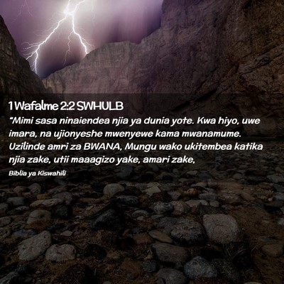 Picture 02 - 1 Wafalme 2:2 SWHULB - “Mimi sasa ninaiendea njia ya dunia yote. Kwa - Bible Verse Picture