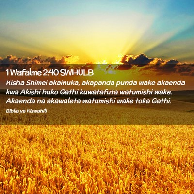 Picture 02 - 1 Wafalme 2:40 SWHULB - Kisha Shimei akainuka, akapanda punda wake - Bible Verse Picture