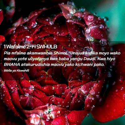Picture 02 - 1 Wafalme 2:44 SWHULB - Pia mfalme akamwambia Shimei, “Unajua katika - Bible Verse Picture