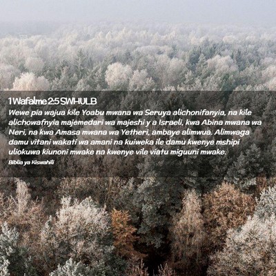 Picture 02 - 1 Wafalme 2:5 SWHULB - Wewe pia wajua kile Yoabu mwana wa Seruya - Bible Verse Picture