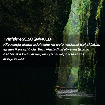 Picture 02 - 1 Wafalme 20:20 SWHULB - Kila mmoja akaua adui wake na wale washami - Bible Verse Picture