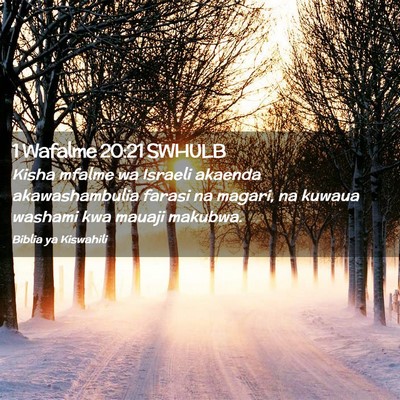 Picture 02 - 1 Wafalme 20:21 SWHULB - Kisha mfalme wa Israeli akaenda akawashambulia - Bible Verse Picture