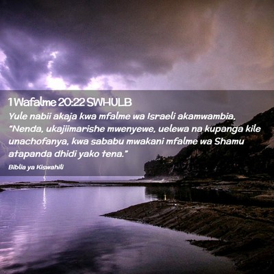 Picture 02 - 1 Wafalme 20:22 SWHULB - Yule nabii akaja kwa mfalme wa Israeli - Bible Verse Picture