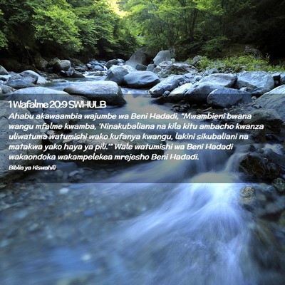 Picture 02 - 1 Wafalme 20:9 SWHULB - Ahabu akawaambia wajumbe wa Beni Hadadi, - Bible Verse Picture