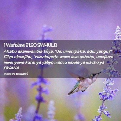 Picture 02 - 1 Wafalme 21:20 SWHULB - Ahabu akamwambia Eliya, “Je, umenipatia, adui - Bible Verse Picture