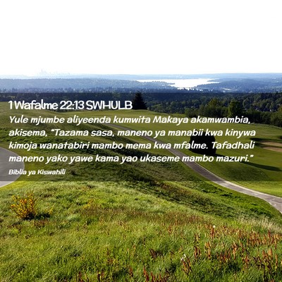 Picture 02 - 1 Wafalme 22:13 SWHULB - Yule mjumbe aliyeenda kumwita Makaya akamwambia, - Bible Verse Picture