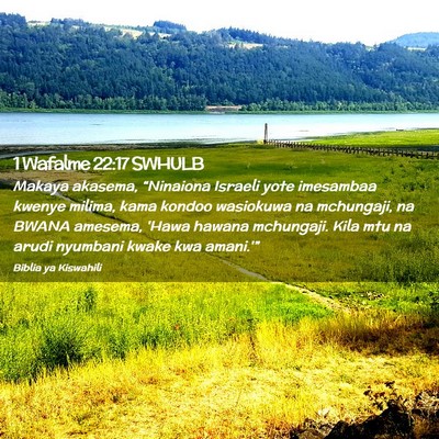 Picture 02 - 1 Wafalme 22:17 SWHULB - Makaya akasema, “Ninaiona Israeli yote - Bible Verse Picture