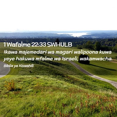 Picture 02 - 1 Wafalme 22:33 SWHULB - Ikawa majemedari wa magari walipoona kuwa yeye - Bible Verse Picture