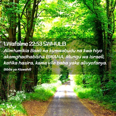 Picture 02 - 1 Wafalme 22:53 SWHULB - Alimtumikia Baali na kumwabudu na kwa hiyo - Bible Verse Picture