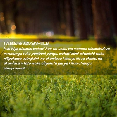 Picture 02 - 1 Wafalme 3:20 SWHULB - kwa hiyo akamka wakati huo wa usiku wa manane - Bible Verse Picture
