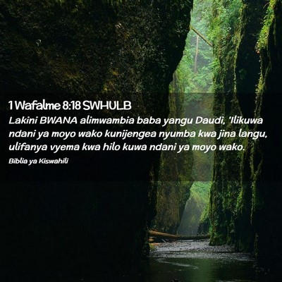 Picture 02 - 1 Wafalme 8:18 SWHULB - Lakini BWANA alimwambia baba yangu Daudi, - Bible Verse Picture