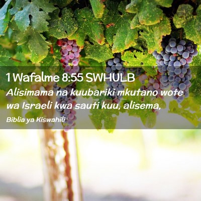 Picture 02 - 1 Wafalme 8:55 SWHULB - Alisimama na kuubariki mkutano wote wa Israeli - Bible Verse Picture