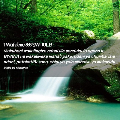 Picture 02 - 1 Wafalme 8:6 SWHULB - Makuhani wakalingiza ndani lile sanduku la agano - Bible Verse Picture