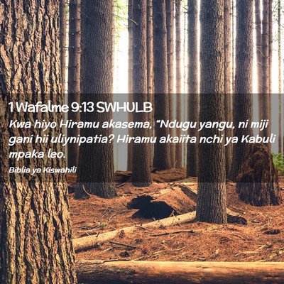 Picture 02 - 1 Wafalme 9:13 SWHULB - Kwa hiyo Hiramu akasema, “Ndugu yangu, ni miji - Bible Verse Picture
