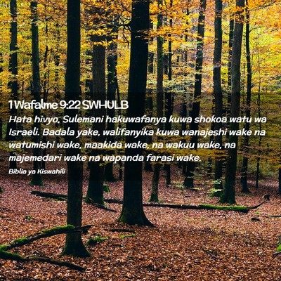 Picture 02 - 1 Wafalme 9:22 SWHULB - Hata hivyo, Sulemani hakuwafanya kuwa shokoa watu - Bible Verse Picture
