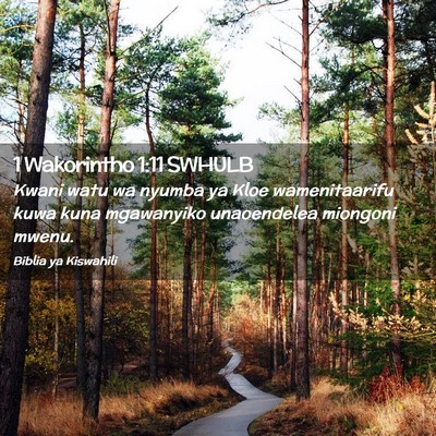 Picture 02 - 1 Wakorintho 1:11 SWHULB - Kwani watu wa nyumba ya Kloe wamenitaarifu kuwa - Bible Verse Picture