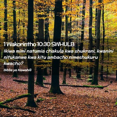Picture 02 - 1 Wakorintho 10:30 SWHULB - Ikiwa mimi natumia chakula kwa shukrani, kwanini - Bible Verse Picture