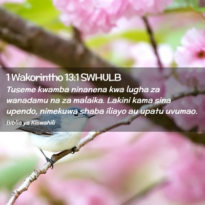 Picture 02 - 1 Wakorintho 13:1 SWHULB - Tuseme kwamba ninanena kwa lugha za wanadamu na - Bible Verse Picture