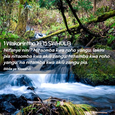 Picture 02 - 1 Wakorintho 14:15 SWHULB - Nifanye nini? Nitaomba kwa roho yangu, lakini pia - Bible Verse Picture