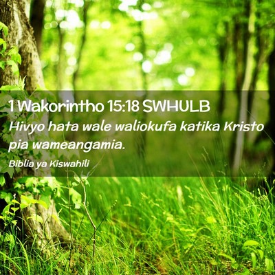 Picture 02 - 1 Wakorintho 15:18 SWHULB - Hivyo hata wale waliokufa katika Kristo pia - Bible Verse Picture
