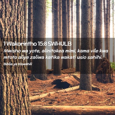 Picture 02 - 1 Wakorintho 15:8 SWHULB - Mwisho wa yote, alinitokea mimi, kama vile kwa - Bible Verse Picture