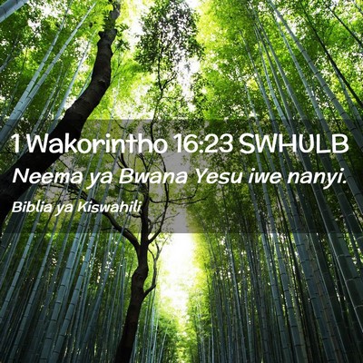 Picture 02 - 1 Wakorintho 16:23 SWHULB - Neema ya Bwana Yesu iwe - Bible Verse Picture