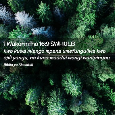 Picture 02 - 1 Wakorintho 16:9 SWHULB - kwa kuwa mlango mpana umefunguliwa kwa ajili - Bible Verse Picture