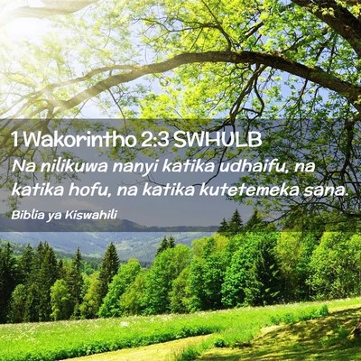 Picture 02 - 1 Wakorintho 2:3 SWHULB - Na nilikuwa nanyi katika udhaifu, na katika hofu, - Bible Verse Picture