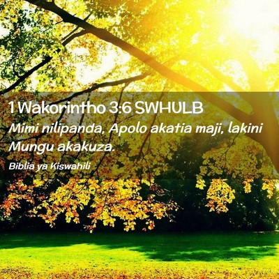 Picture 02 - 1 Wakorintho 3:6 SWHULB - Mimi nilipanda, Apolo akatia maji, lakini Mungu - Bible Verse Picture