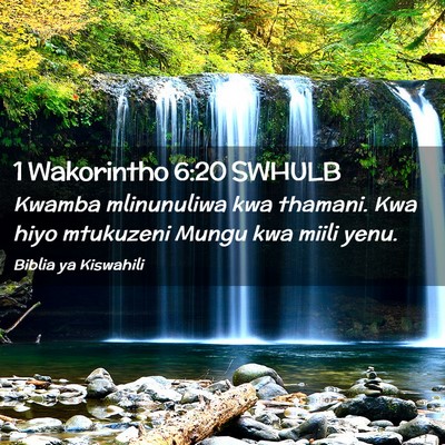 Picture 02 - 1 Wakorintho 6:20 SWHULB - Kwamba mlinunuliwa kwa thamani. Kwa hiyo - Bible Verse Picture