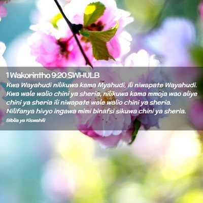 Picture 02 - 1 Wakorintho 9:20 SWHULB - Kwa Wayahudi nilikuwa kama Myahudi, ili niwapate - Bible Verse Picture