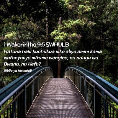 Picture 02 - 1 Wakorintho 9:5 SWHULB - Hatuna haki kuchukua mke aliye amini kama - Bible Verse Picture