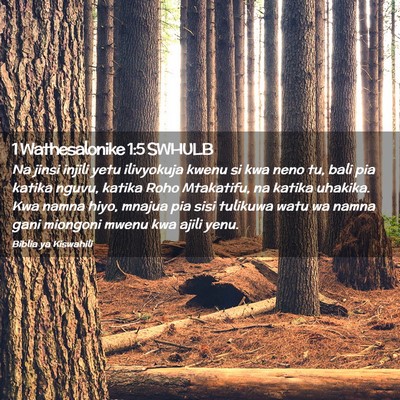 Picture 02 - 1 Wathesalonike 1:5 SWHULB - Na jinsi injili yetu ilivyokuja kwenu si kwa neno - Bible Verse Picture