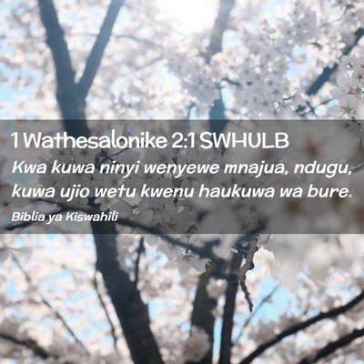 Picture 02 - 1 Wathesalonike 2:1 SWHULB - Kwa kuwa ninyi wenyewe mnajua, ndugu, kuwa ujio - Bible Verse Picture