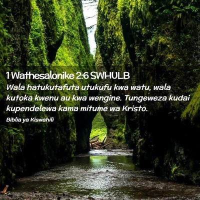 Picture 02 - 1 Wathesalonike 2:6 SWHULB - Wala hatukutafuta utukufu kwa watu, wala kutoka - Bible Verse Picture