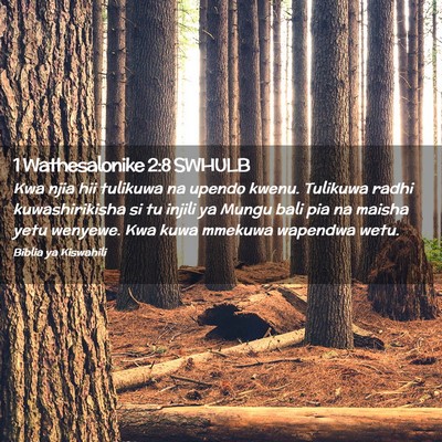 Picture 02 - 1 Wathesalonike 2:8 SWHULB - Kwa njia hii tulikuwa na upendo kwenu. Tulikuwa - Bible Verse Picture