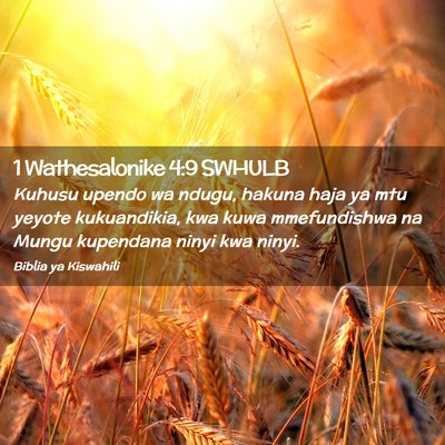 Picture 02 - 1 Wathesalonike 4:9 SWHULB - Kuhusu upendo wa ndugu, hakuna haja ya mtu yeyote - Bible Verse Picture