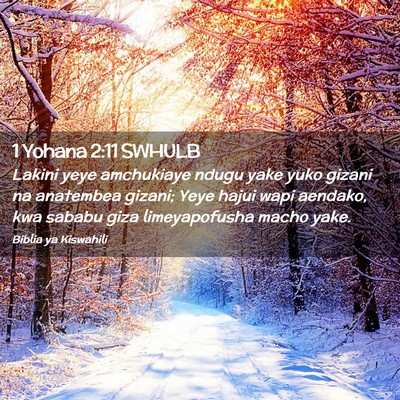 Picture 02 - 1 Yohana 2:11 SWHULB - Lakini yeye amchukiaye ndugu yake yuko gizani na - Bible Verse Picture
