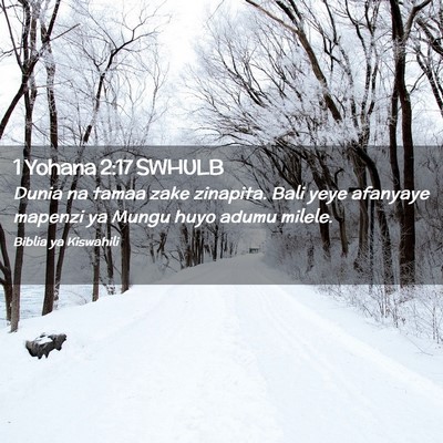 Picture 02 - 1 Yohana 2:17 SWHULB - Dunia na tamaa zake zinapita. Bali yeye afanyaye - Bible Verse Picture