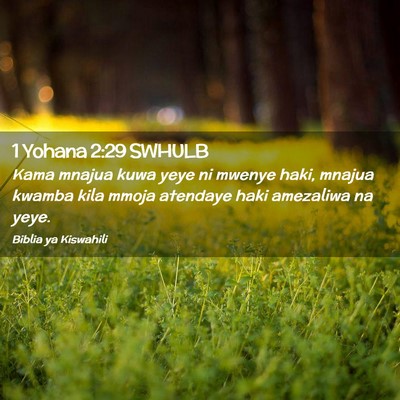 Picture 02 - 1 Yohana 2:29 SWHULB - Kama mnajua kuwa yeye ni mwenye haki, mnajua - Bible Verse Picture