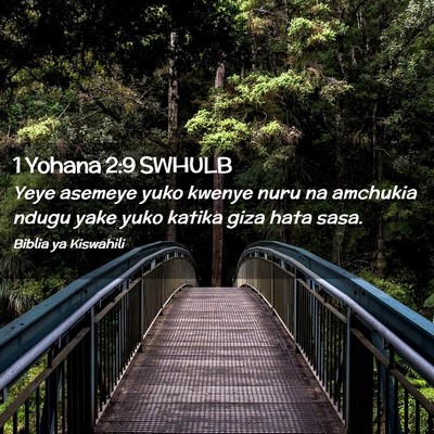 Picture 02 - 1 Yohana 2:9 SWHULB - Yeye asemeye yuko kwenye nuru na amchukia ndugu - Bible Verse Picture