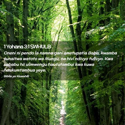 Picture 02 - 1 Yohana 3:1 SWHULB - Oneni ni pendo la namna gani ametupatia Baba, - Bible Verse Picture