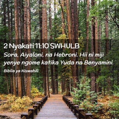 Picture 02 - 2 Nyakati 11:10 SWHULB - Sora, Aiyaloni, na Hebroni. Hii ni miji yenye - Bible Verse Picture