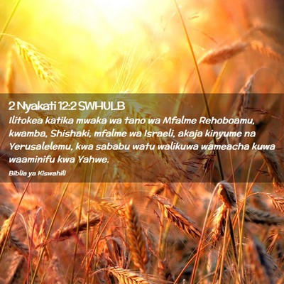 Picture 02 - 2 Nyakati 12:2 SWHULB - Ilitokea katika mwaka wa tano wa Mfalme - Bible Verse Picture