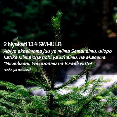 Picture 02 - 2 Nyakati 13:4 SWHULB - Abiya akasimama juu ya mlima Semaraimu, uliopo - Bible Verse Picture