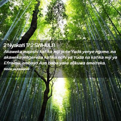 Picture 02 - 2 Nyakati 17:2 SWHULB - Akaweka majeshi katika miji yote Yuda yenye - Bible Verse Picture