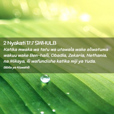 Picture 02 - 2 Nyakati 17:7 SWHULB - Katika mwaka wa tatu wa utawala wake aliwatuma - Bible Verse Picture