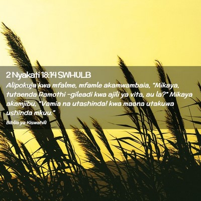 Picture 02 - 2 Nyakati 18:14 SWHULB - Alipokuja kwa mfalme, mfamle akamwambaia, - Bible Verse Picture